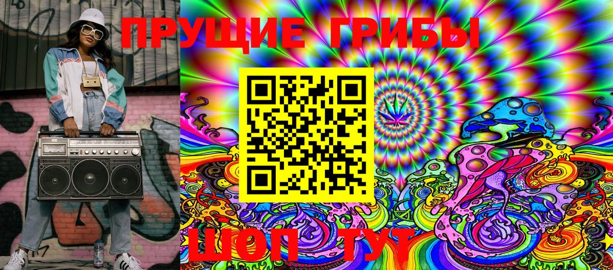 Псилоцибиновые грибы Psilocybe Рузаевка